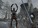The Elder Scrolls 3: Bloodmoon - screenshot #15