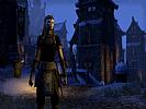 The Elder Scrolls Online: Tamriel Unlimited - screenshot #34