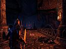 The Elder Scrolls Online: Tamriel Unlimited - screenshot #6