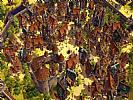 Settlers 6: Rise of an Empire - screenshot #21