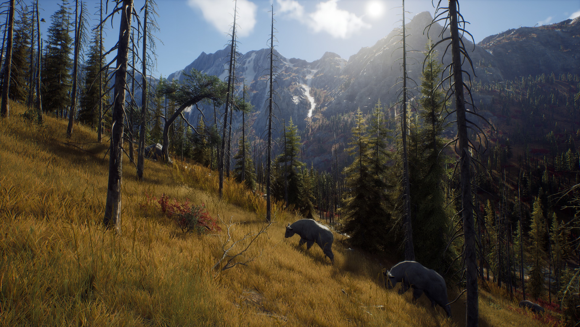 Way of the Hunter - screenshot 16