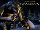 The Elder Scrolls 3: Bloodmoon - wallpaper #2