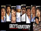 Greys Anatomy: The Video Game - wallpaper #4