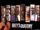Greys Anatomy: The Video Game - wallpaper #8