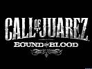 Call of Juarez: Bound in Blood - wallpaper #5