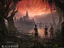 The Elder Scrolls Online: Blackwood - wallpaper #3