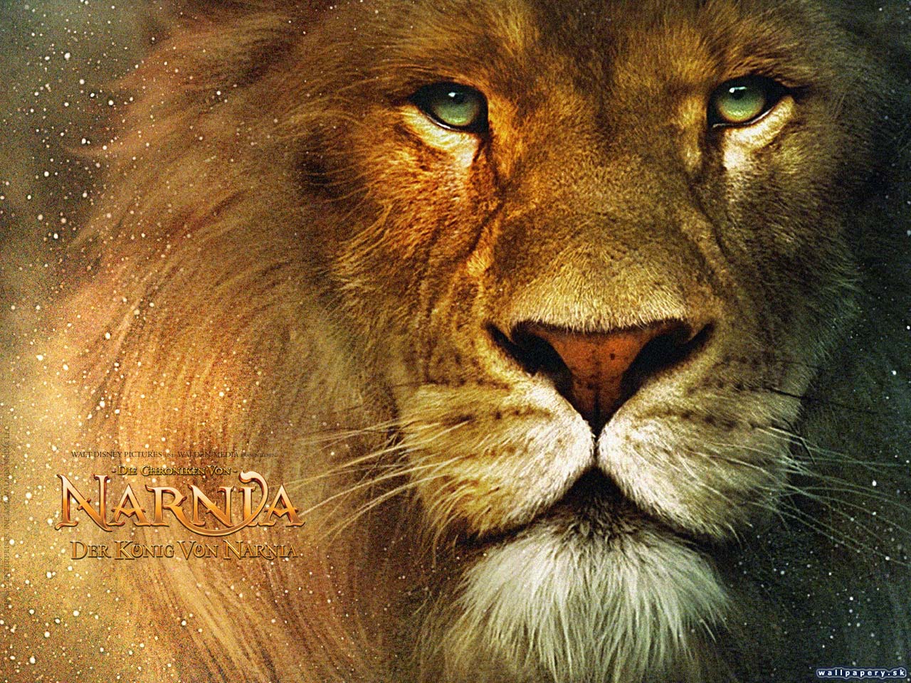 The Chronicles of Narnia: The Lion, The Witch and the Wardrobe - wallpaper 9