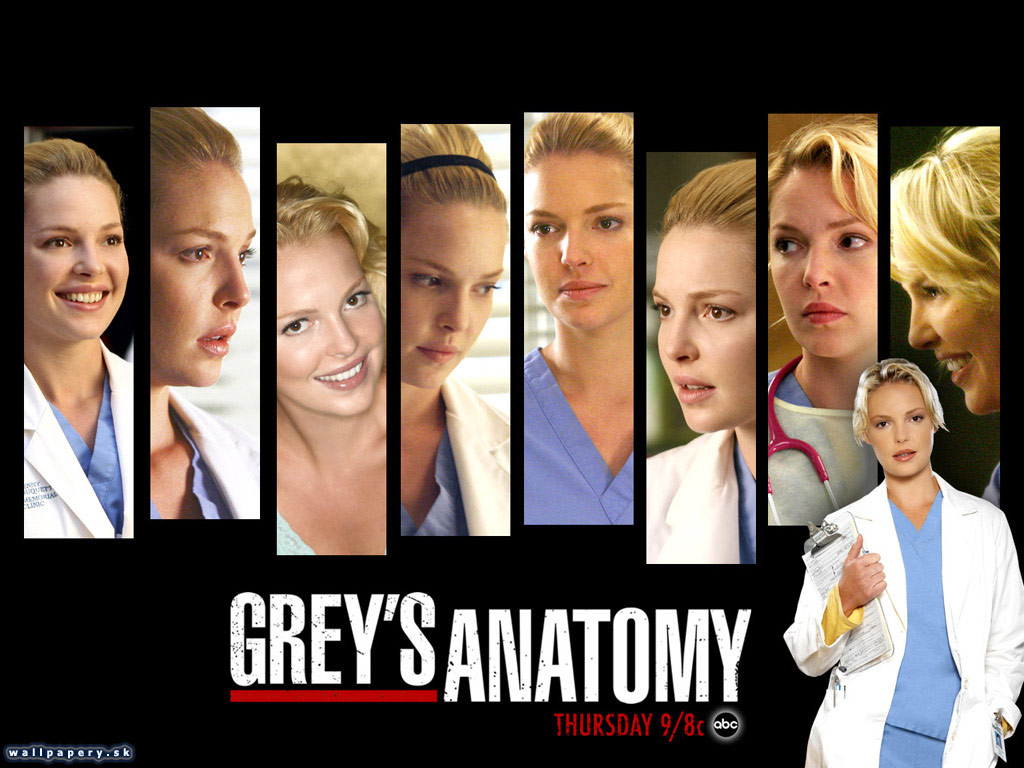 Greys Anatomy: The Video Game - wallpaper 7