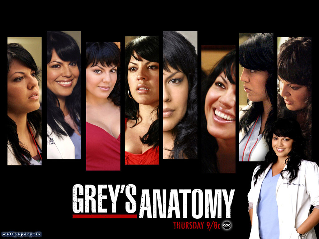 Greys Anatomy: The Video Game - wallpaper 12